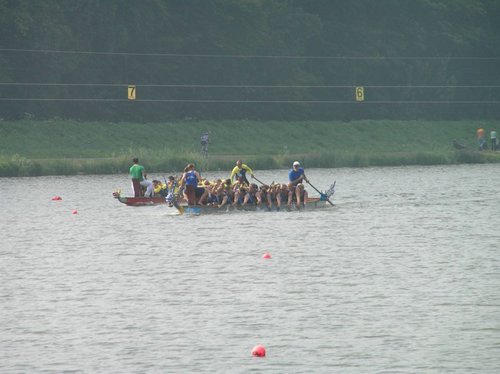 P9035668.jpg