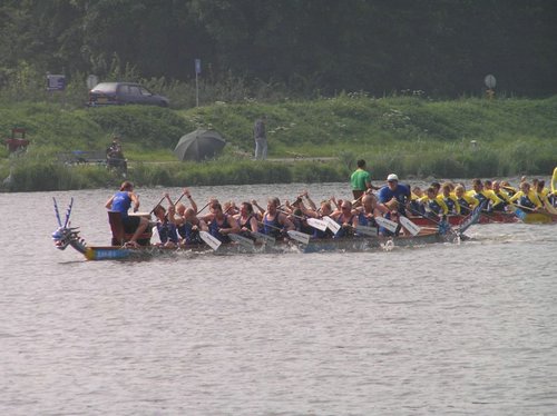 P9035678.jpg