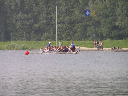 P9035774.jpg