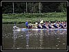 IMG_0071.jpg