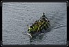 IMG_0954.jpg