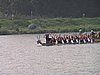 P9035676.jpg