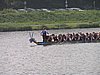 P9035682.jpg