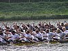 P9035691.jpg