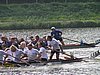 P9035692.jpg